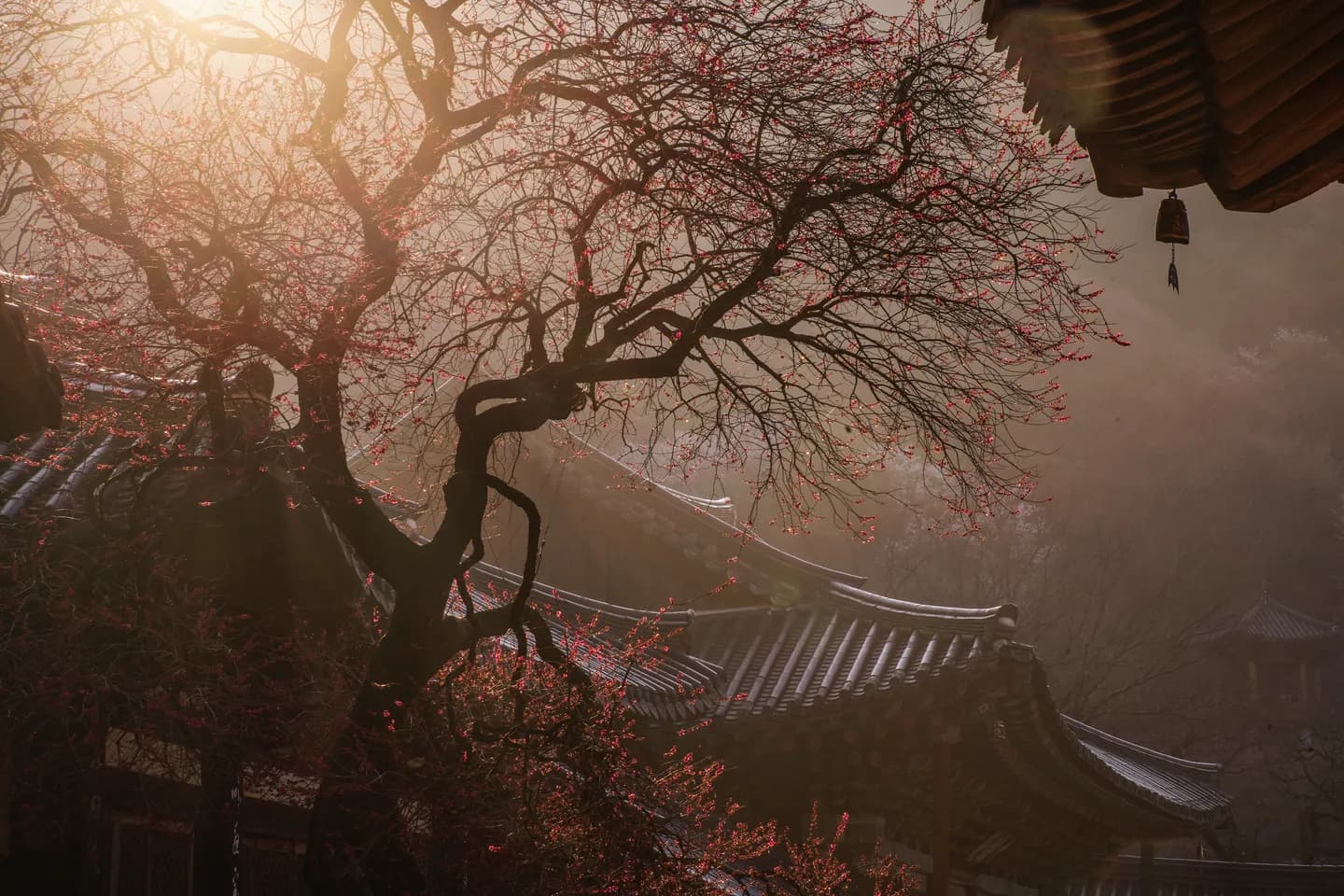 화엄사