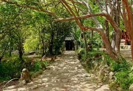 쌍산재